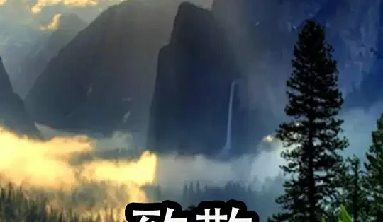 去英雄化深夜食堂车